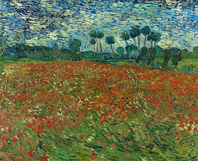 Poppy Field Vincent van Gogh